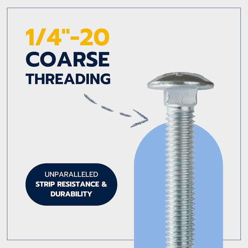 MAKERS BOLT 1/4" x 1-1/2" (100 Pack) Zinc Carriage Bolt Kit, Grade 307A by - Image 5